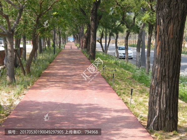 步行道,林蔭小道