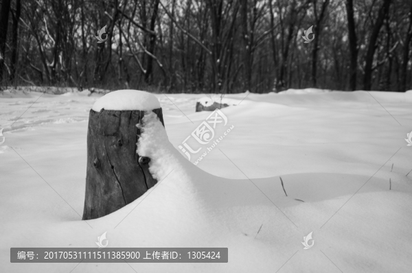 黑與白