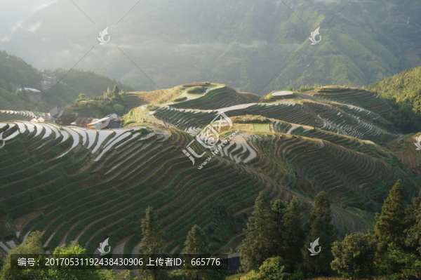 龍脊梯田