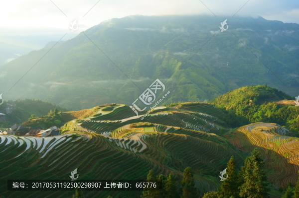 龍脊梯田
