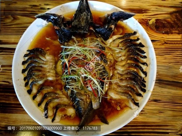 清蒸中華鱘