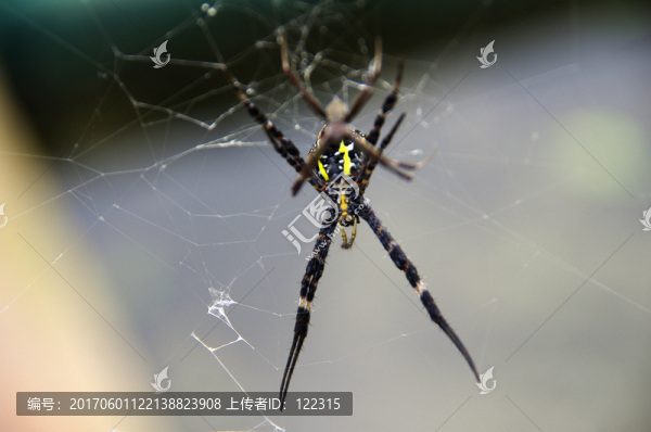 上網(wǎng)
