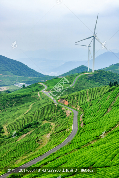 茶園茶場,風(fēng)電場