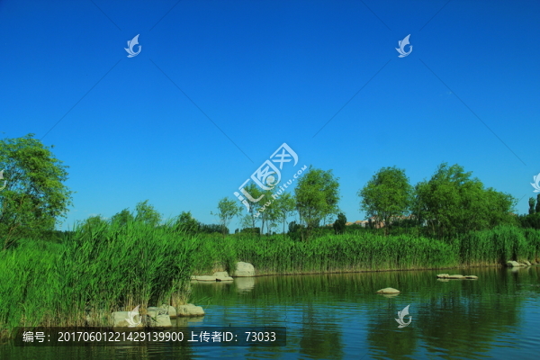 濕地