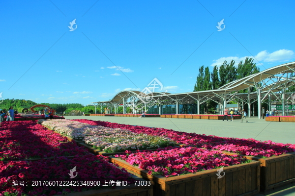 花壇