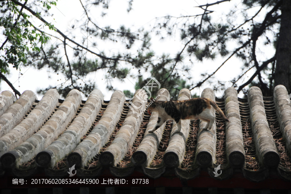 避暑山莊