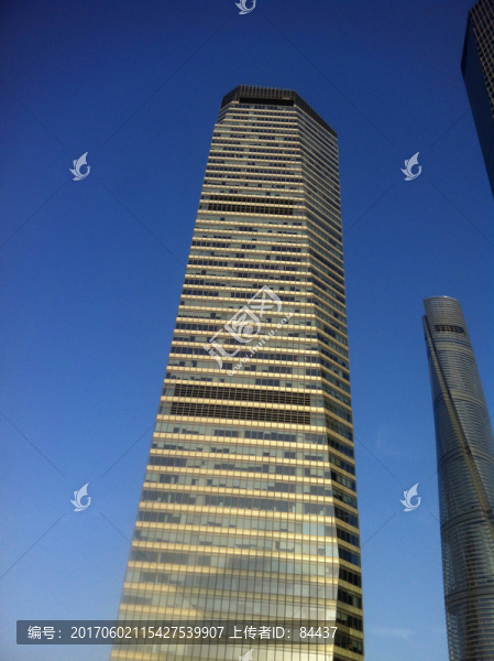 上海,建筑,旅游,風(fēng)光,風(fēng)景