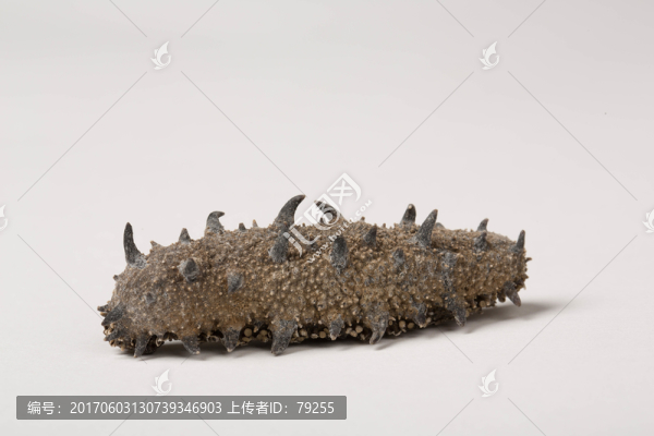 海參