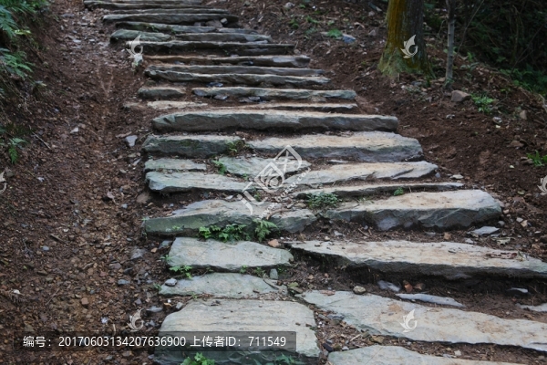 箬嶺古道山路