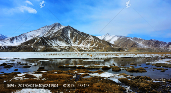 新疆木吉火山口濕地
