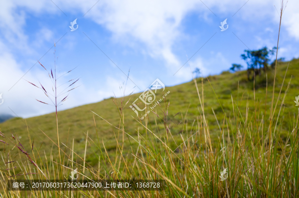 斯里蘭卡霍頓平原徒步