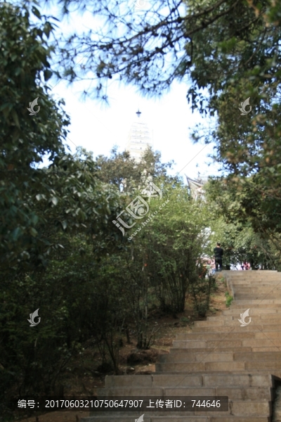 小路