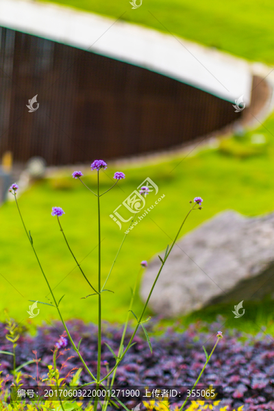 花草