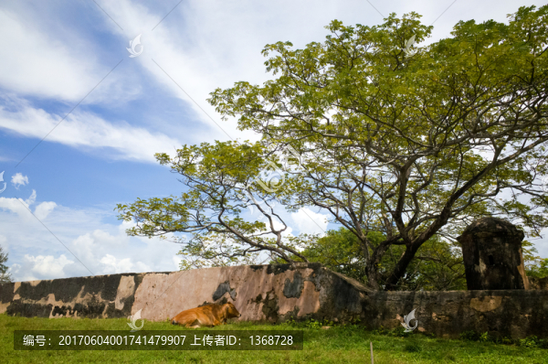 斯里蘭卡加勒古堡風(fēng)光