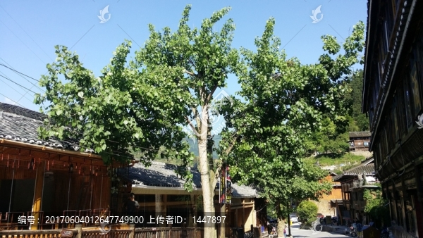 西江千戶苗寨
