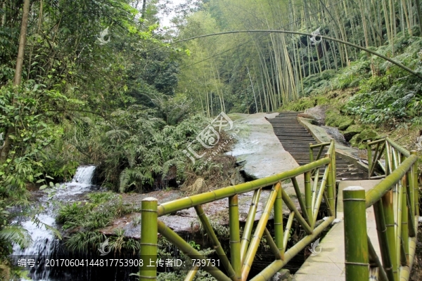 蜀南竹海