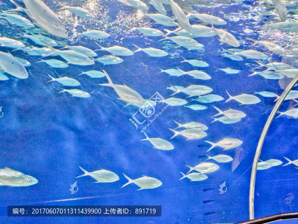 海底世界