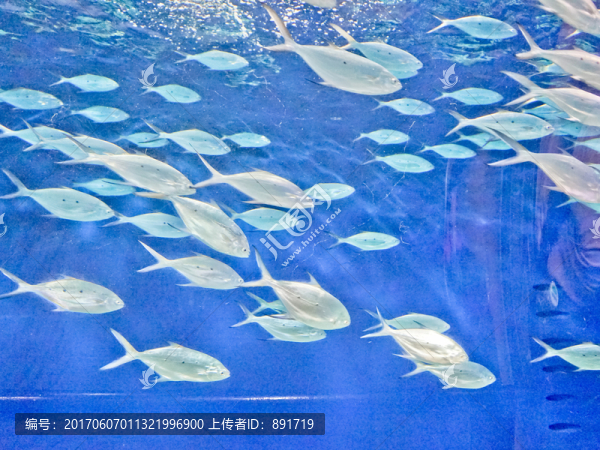 海底世界