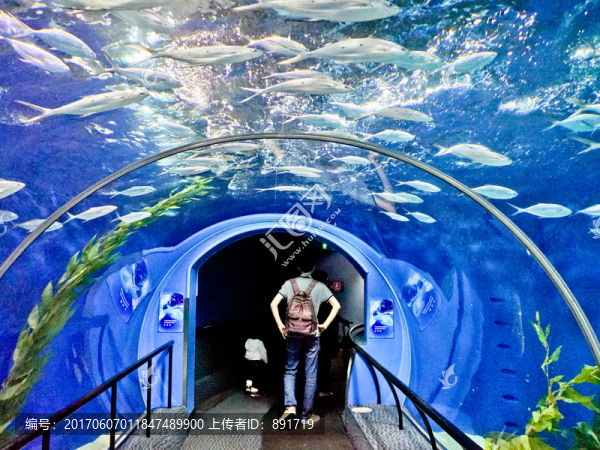 海底世界,海洋館