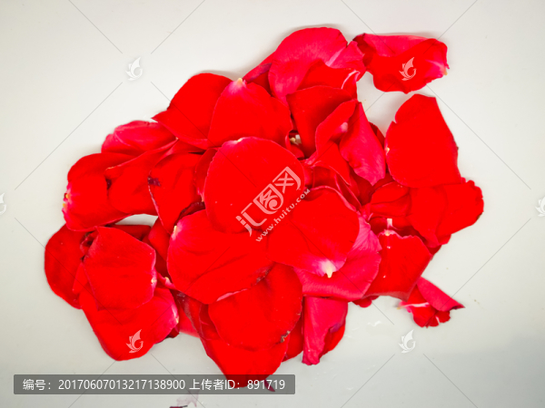 玫瑰花瓣