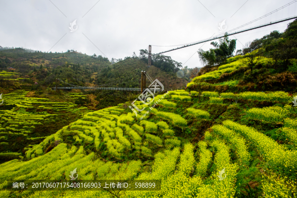 篁嶺梯田鐵索橋
