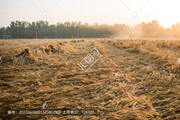 麥?zhǔn)? title=