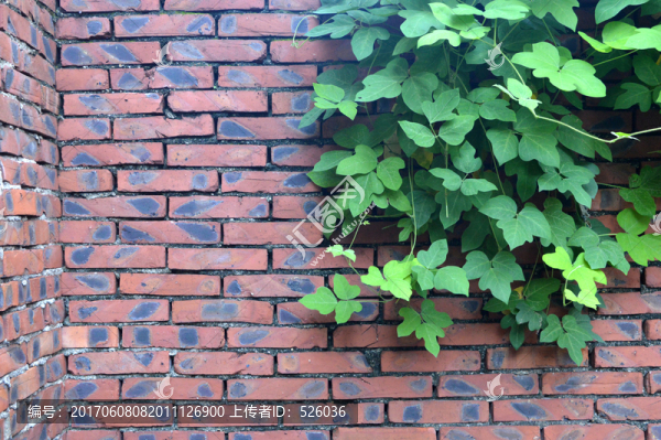 背景墻