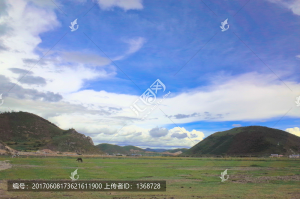 草原,牧場(chǎng)