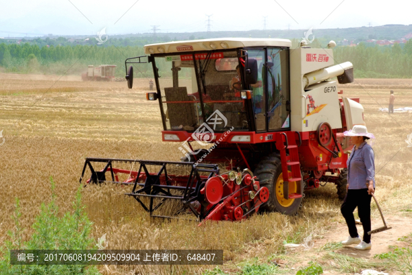 收割機(jī),夏收,麥?zhǔn)?收麥,割麥
