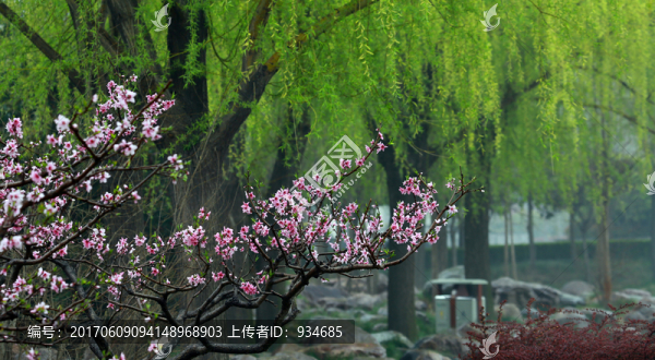 春天