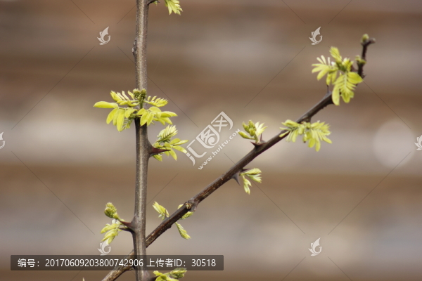 杜塞爾多夫的艷陽(yáng)下