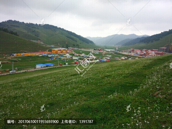 草原,關(guān)山牧場(chǎng)