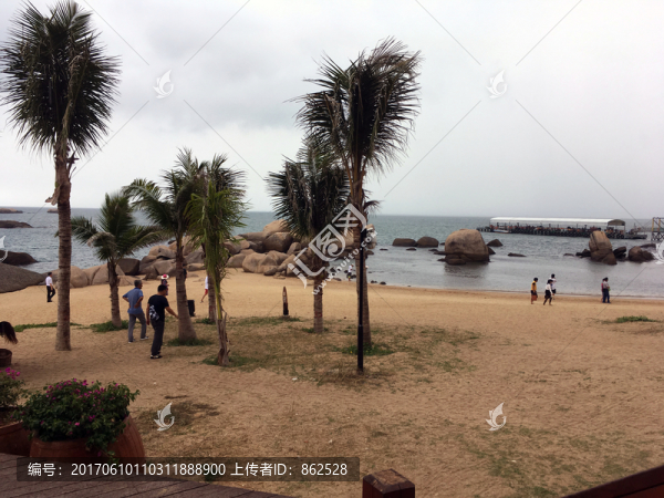 海邊,沙灘,椰樹