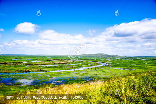 草原景色