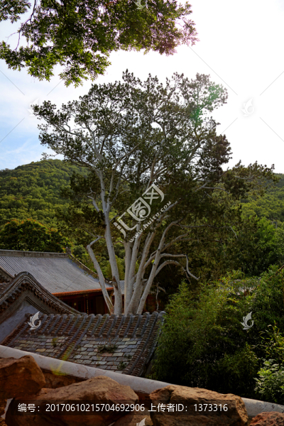 潭柘寺風(fēng)光