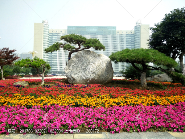 花園,花海