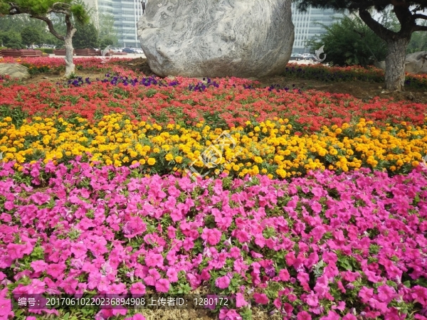 花園