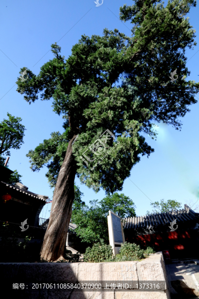 龍泉寺風(fēng)光