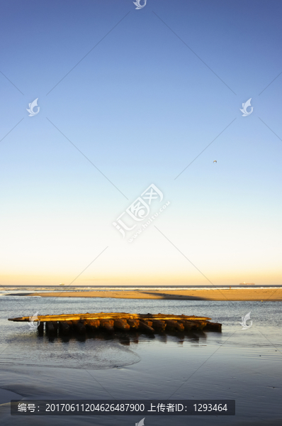 海邊晨曦
