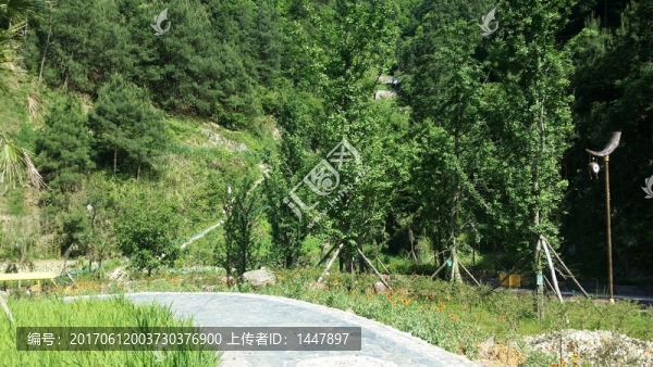 綠化