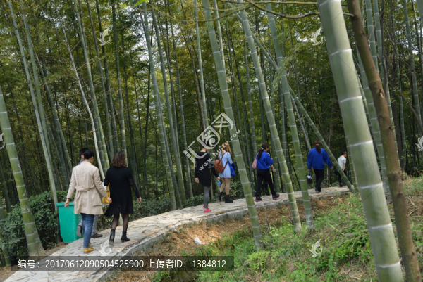 竹園