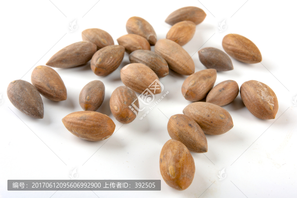 香榧