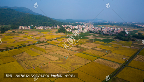 田野,田園風(fēng)光,鄉(xiāng)村