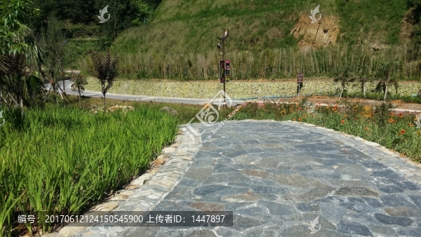 綠化