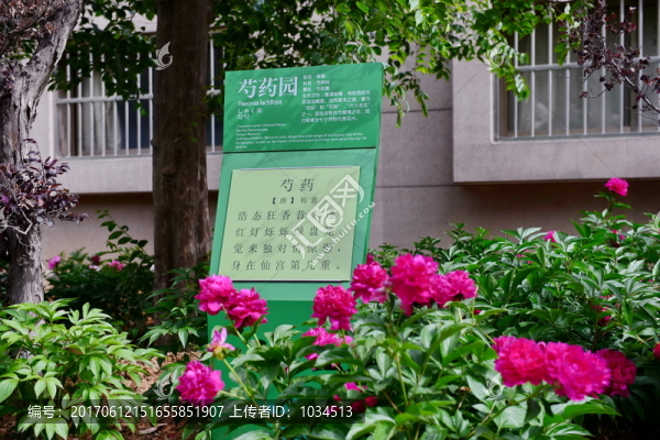 實(shí)驗(yàn)學(xué)校校園風(fēng)光