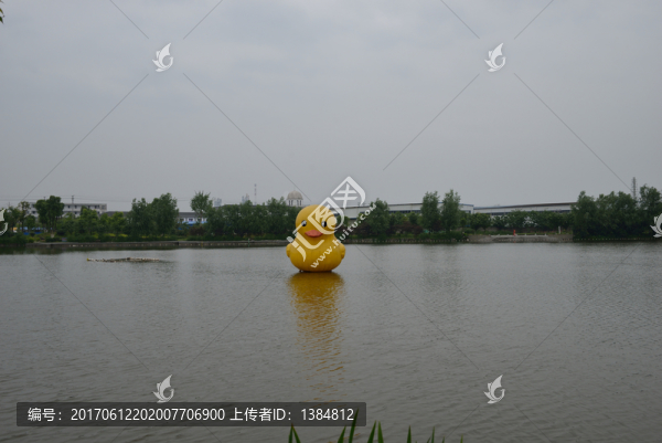 大黃鴨,公園