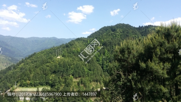 綠化