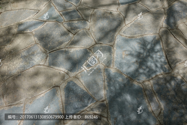 地板紋理