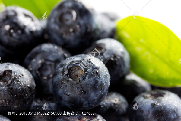 藍莓