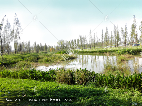 河流,風(fēng)景